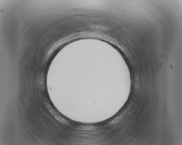 X0000085081499200704021423