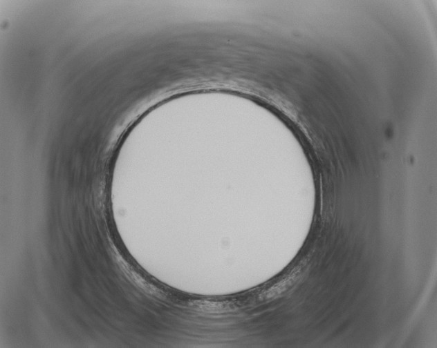 X0000085081500200704021423