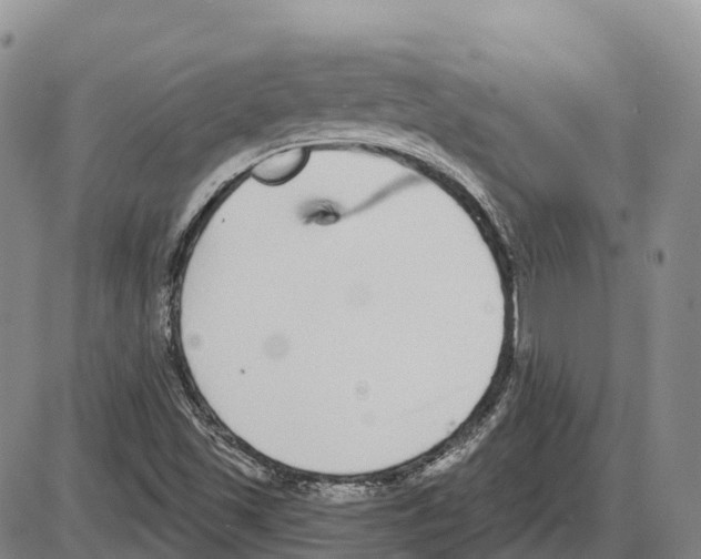 X0000085081501200704021423