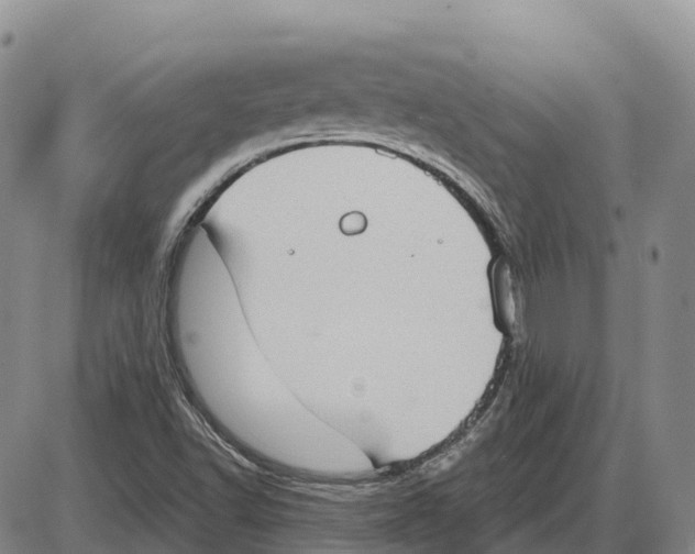 X0000085081502200704021423