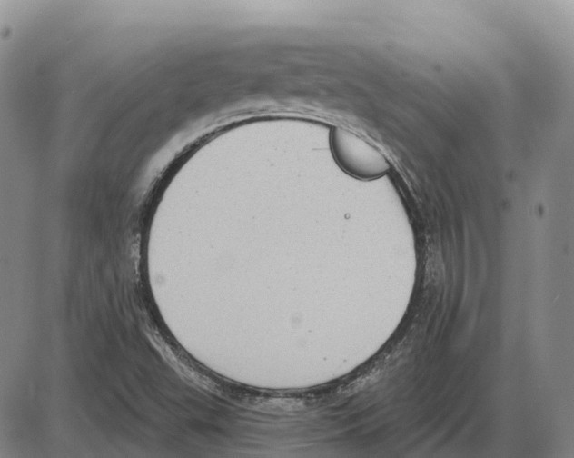 X0000085081503200704021423