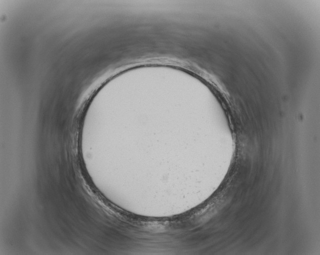 X0000085081504200704021423