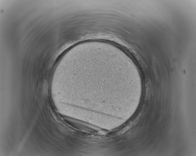 X0000085081505200704021423