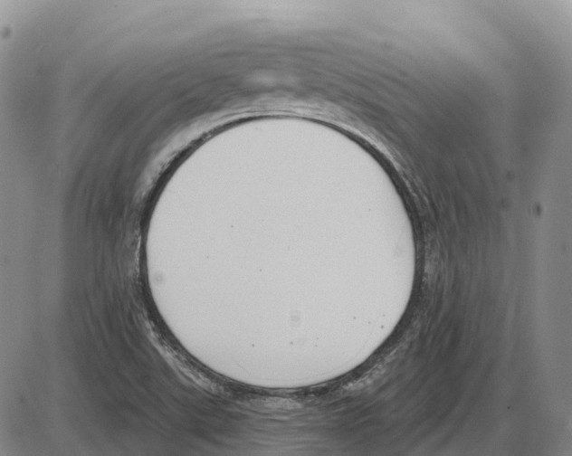 X0000085081507200704021423