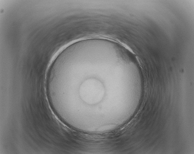 X0000085081508200704021423