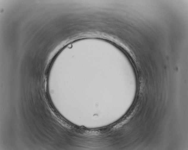 X0000085081509200704021423