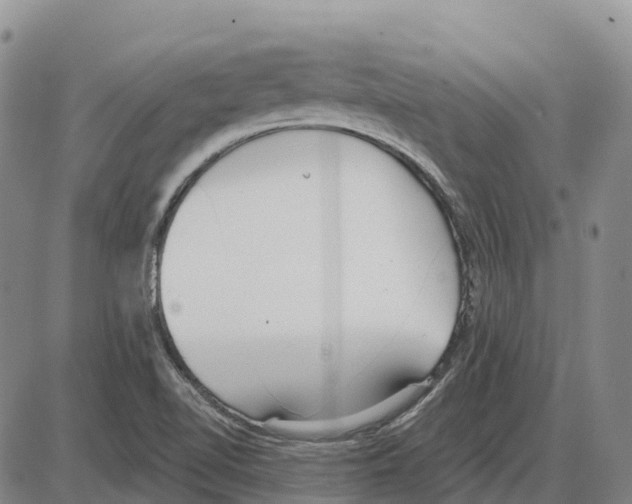 X0000085081510200704021423