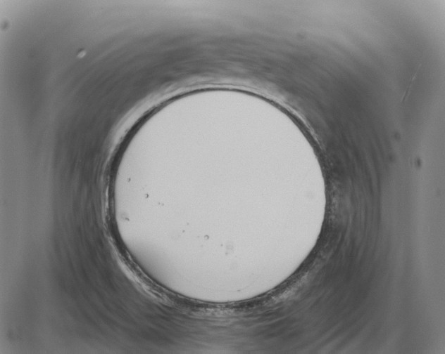 X0000085081511200704021423