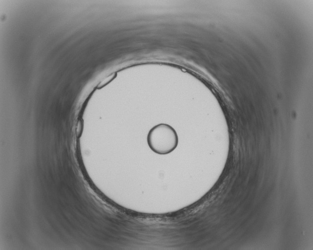 X0000085081512200704021423