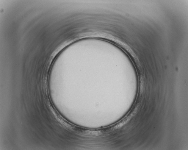 X0000085081513200704021423