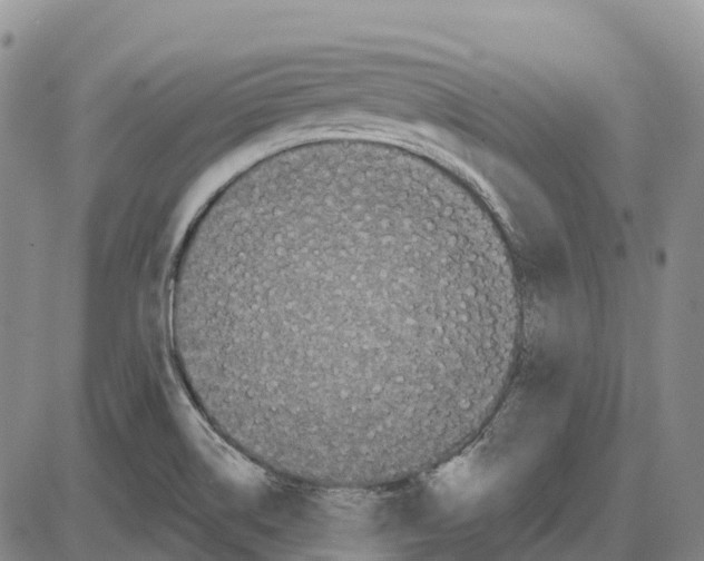 X0000085081514200704021423