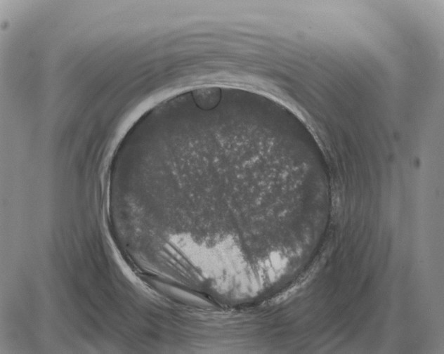 X0000085081515200704021423