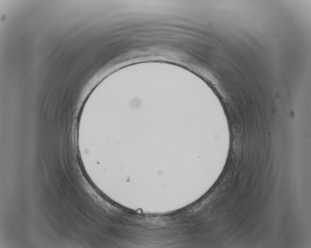 X0000085081516200704021423