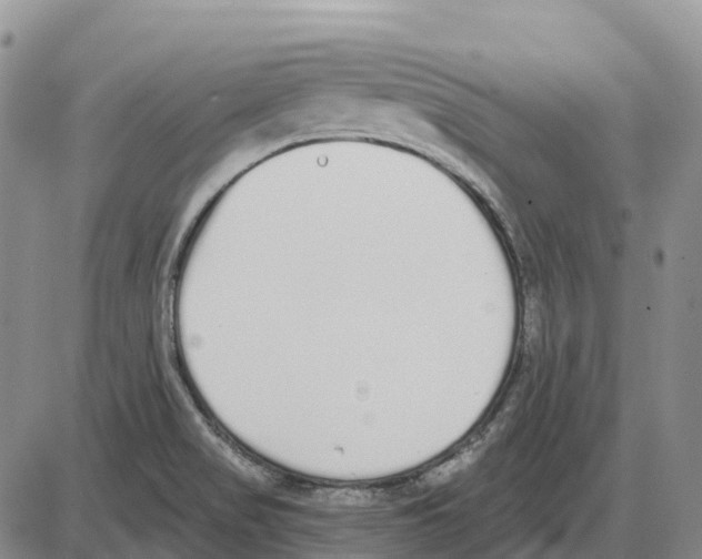 X0000085081517200704021423