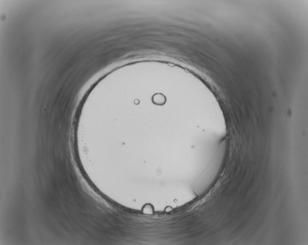 X0000085081518200704021423