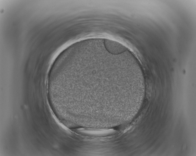 X0000085081519200704021423