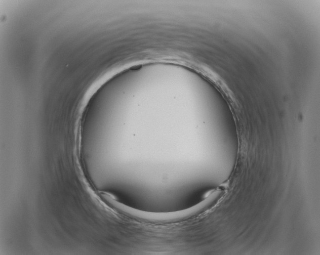 X0000085081520200704021423