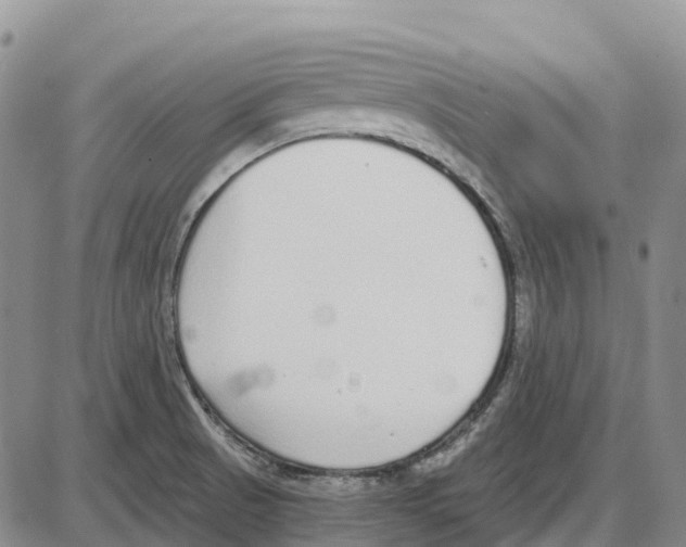 X0000085081521200704021423