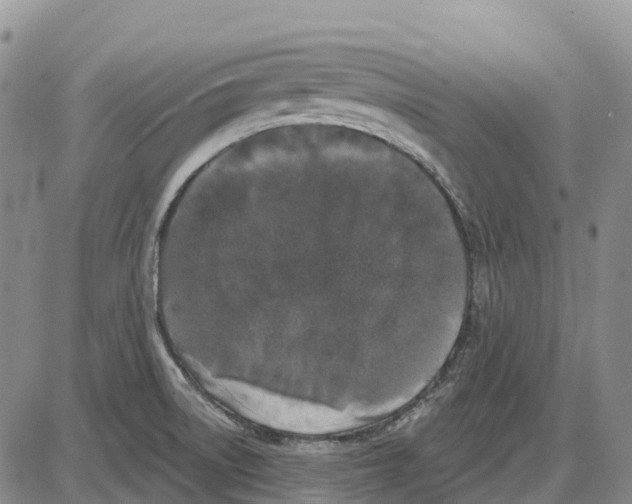 X0000085081522200704021423