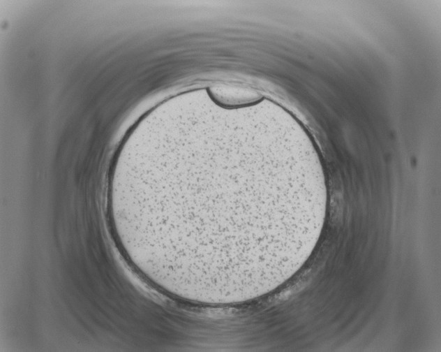 X0000085081523200704021423