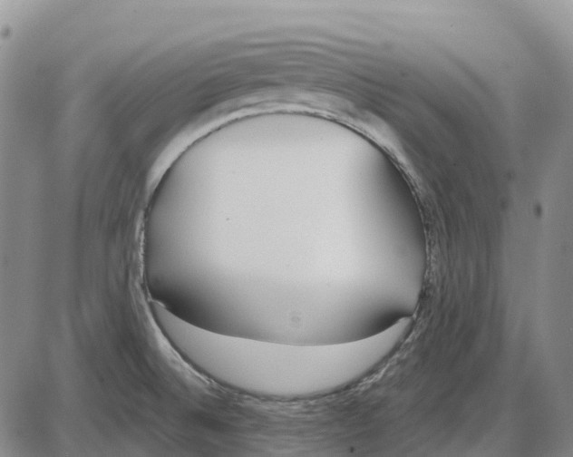 X0000085081524200704021423