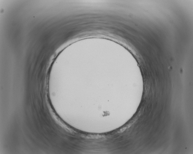 X0000085081526200704021423