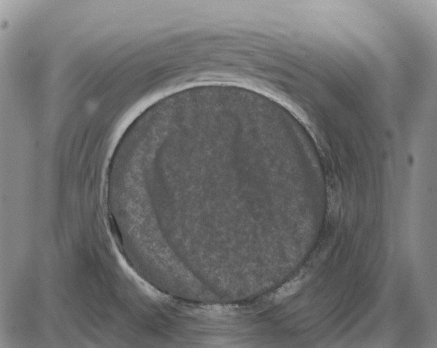 X0000085081527200704021423