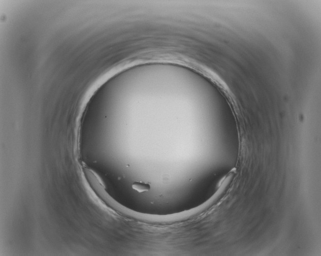 X0000085081528200704021424