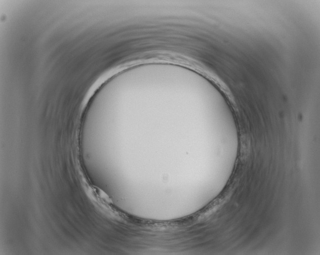 X0000085081530200704021424