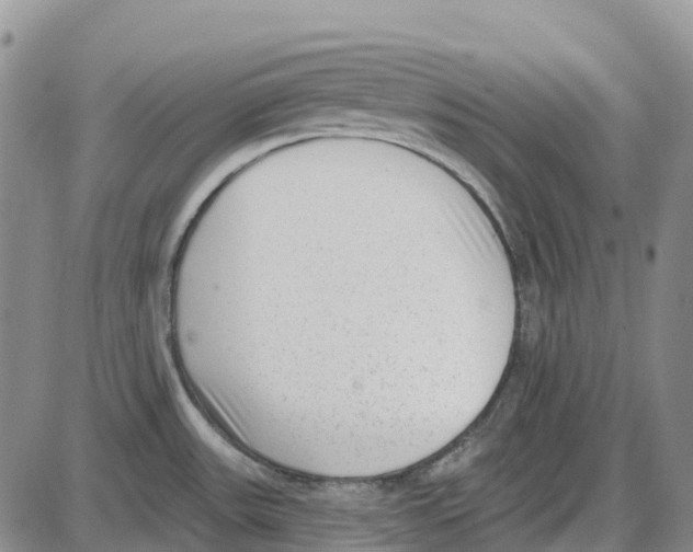 X0000085081531200704021424