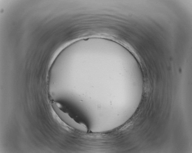 X0000085081532200704021424