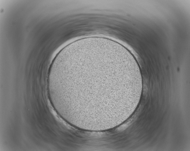 X0000085081534200704021424