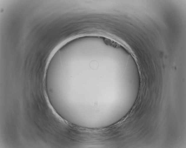 X0000085081536200704021424