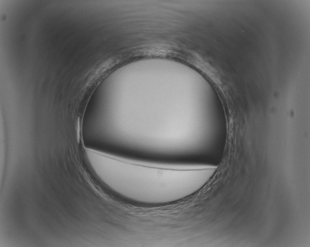 X0000085210013200703090840