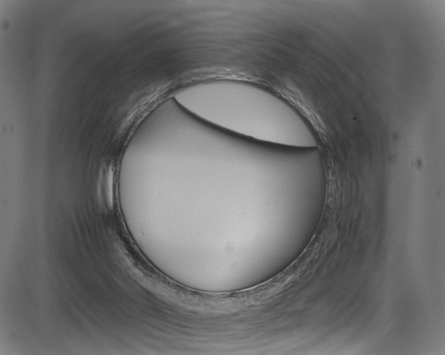 X0000085210014200703090840