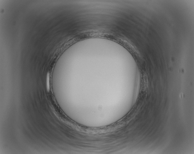 X0000085210022200703090840