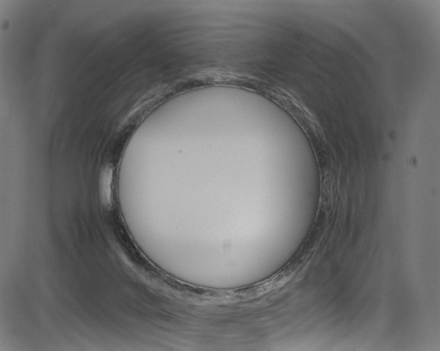 X0000085210024200703090840