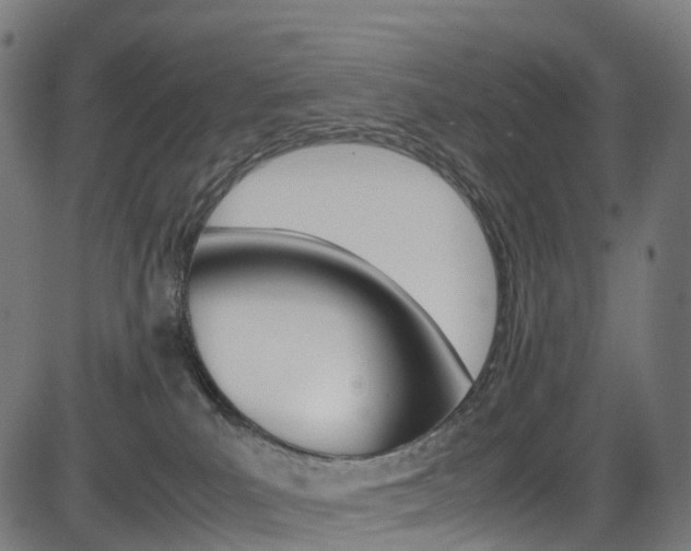 X0000085210039200703090840
