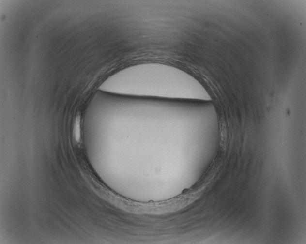 X0000085210046200703090840