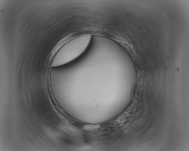 X0000085210051200703090839