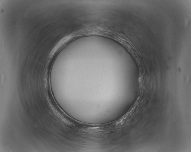 X0000085210054200703090839