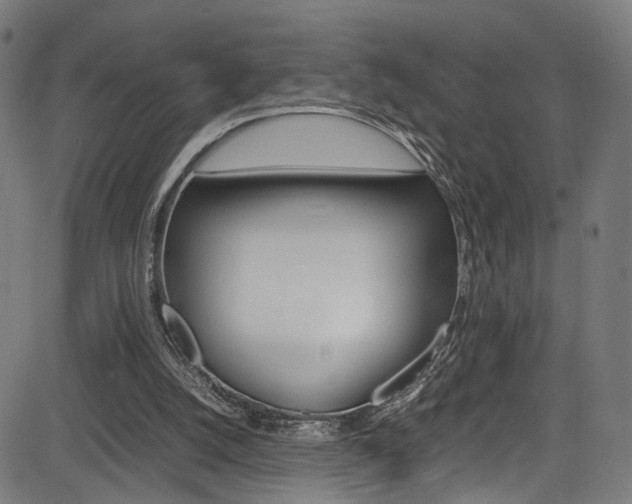 X0000085210056200703090839