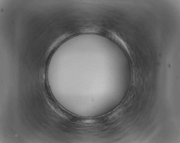 X0000085210059200703090839