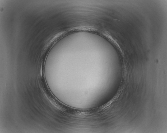 X0000085210062200703090839
