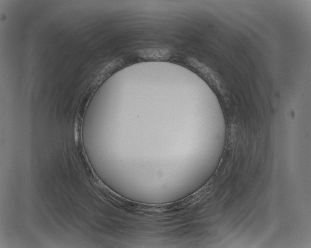 X0000085210069200703090839