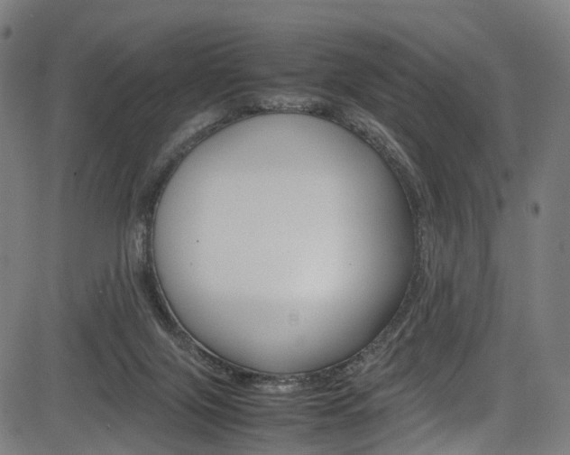 X0000085210071200703090839
