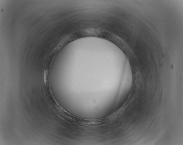X0000085210075200703090839