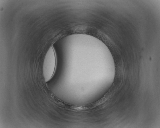 X0000085210083200703090840