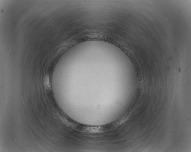 X0000085210089200703090840