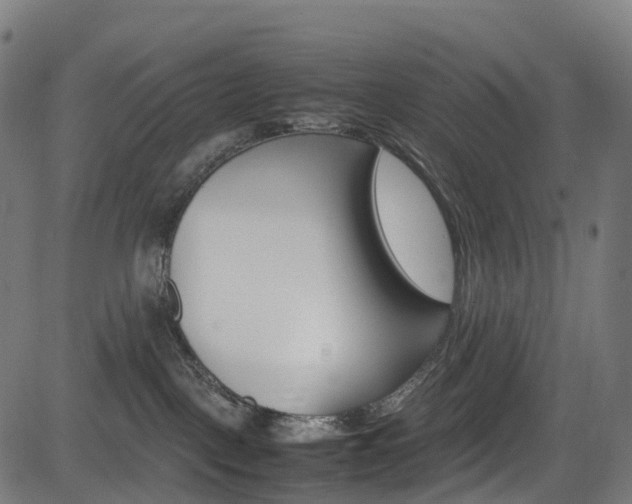 X0000085210093200703090840